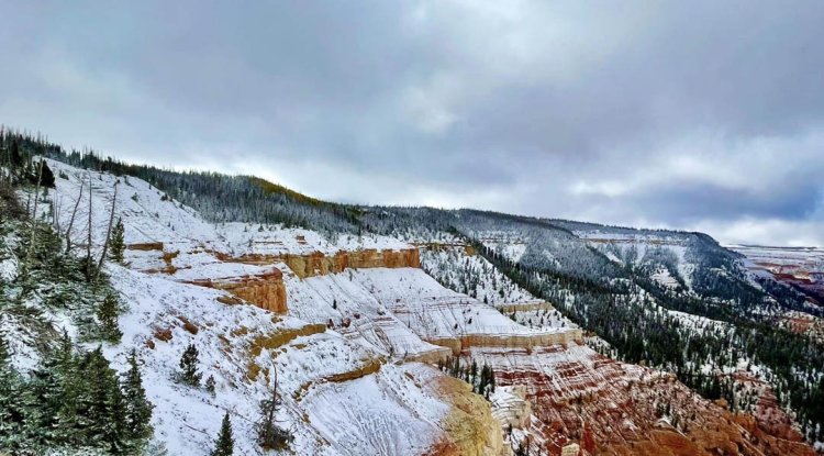 A Snowy Adventure: Witnessing Snowfall at Cedar Breaks