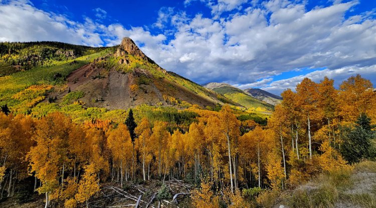 Highway 550: An Epic Adventure from Ouray to Molas Pass