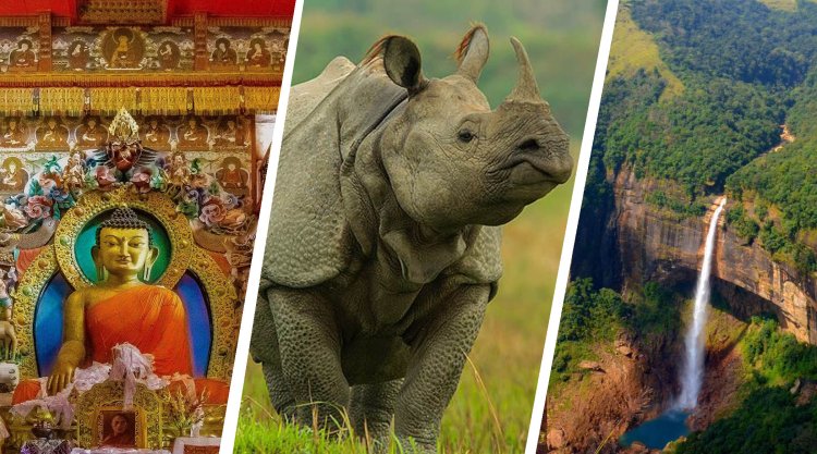 Exploring the Natural Marvels of Kaziranga, Shillong, and Guwahati