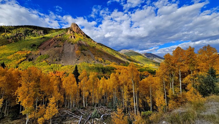 Highway 550: An Epic Adventure from Ouray to Molas Pass