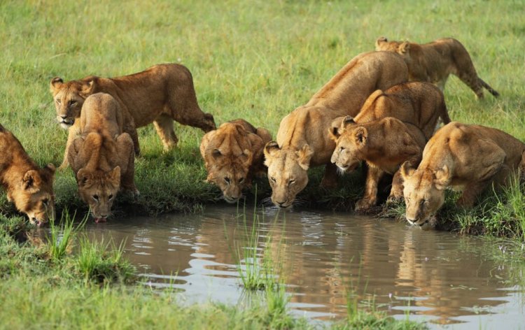 Insider Tips: Kenya and Tanzania