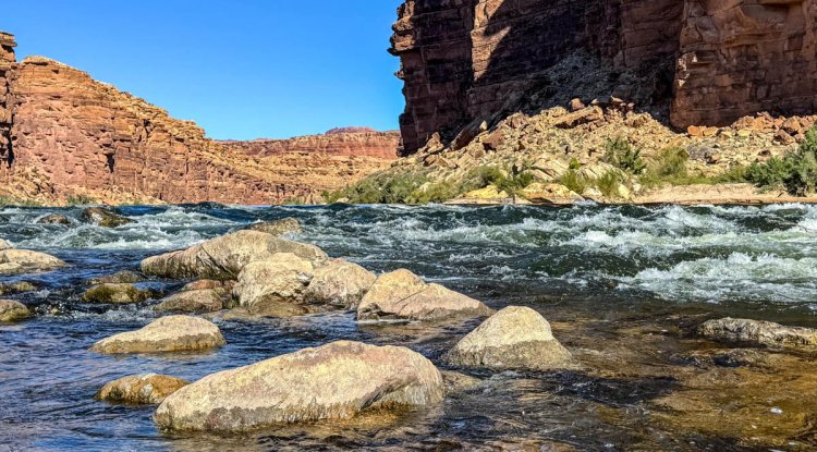 Exploring the Unexpected Beauty of Cathedral Wash Trail