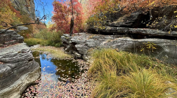 Exploring West Fork of Oak Creek: Arizona’s Autumn Gem