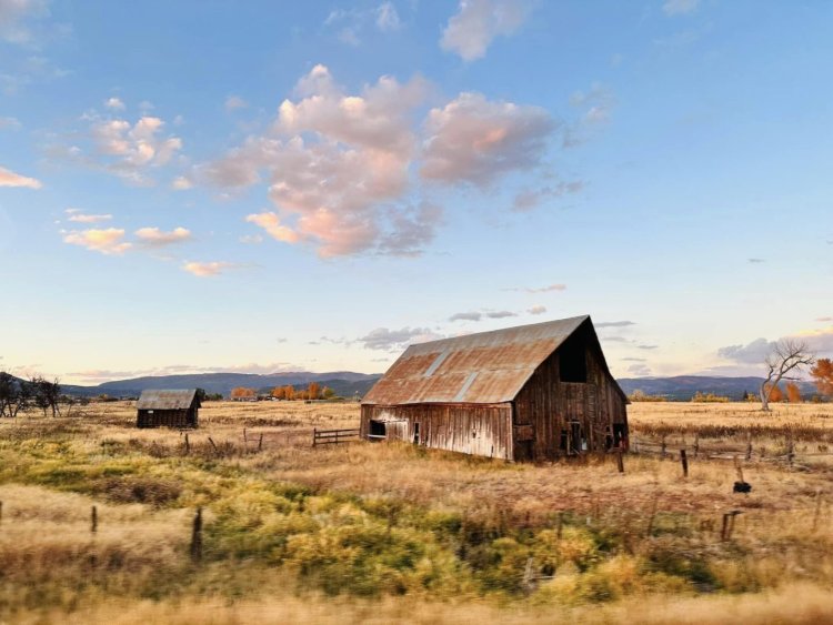 Unplanned Adventures in the American West in Fall 2023