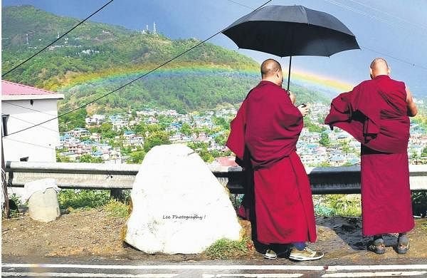 Dharamkot diaries
