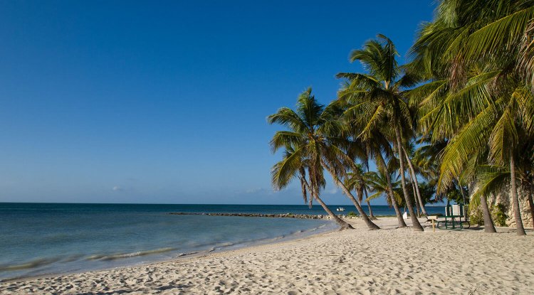 Immerse Yourself in Old World Charm: Key West’s Tropical Architecture