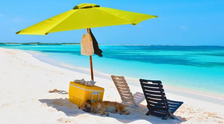 The Best Beach Gear for 2024 (Swimwear, Shelters, Sunglasses & More)