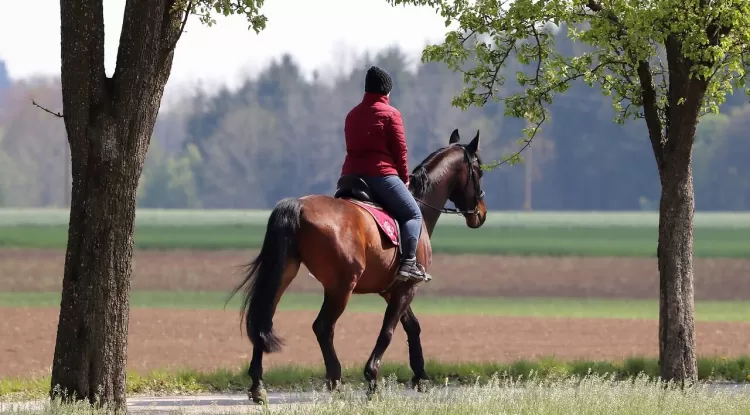Why Equestrian Vacations are the Ultimate Unique Experience