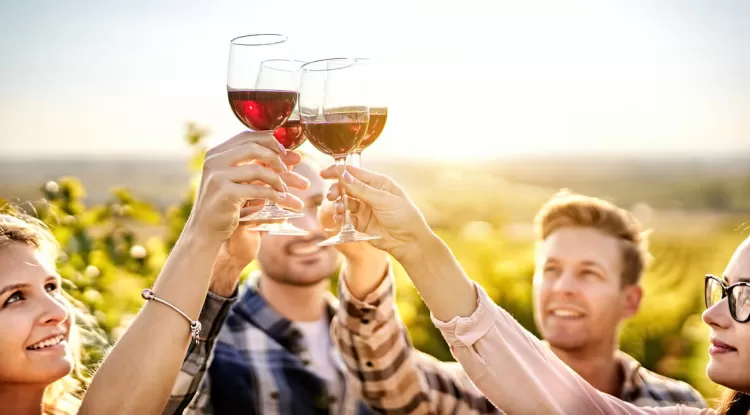 How To Choose The Best Winery Tour For Your Next Adventure