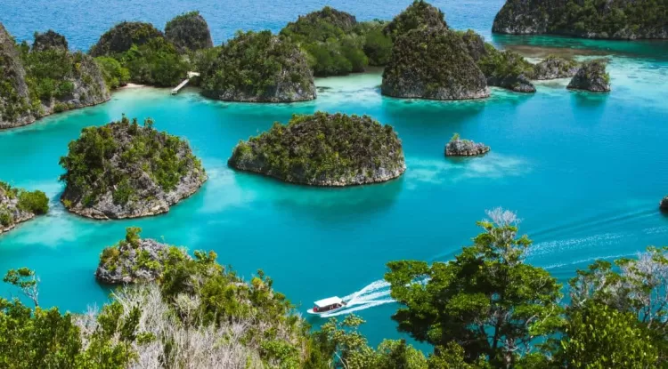 The 5 Best Things To Do In Indonesia for Nature Lovers