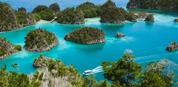 The 5 Best Things To Do In Indonesia for Nature Lovers