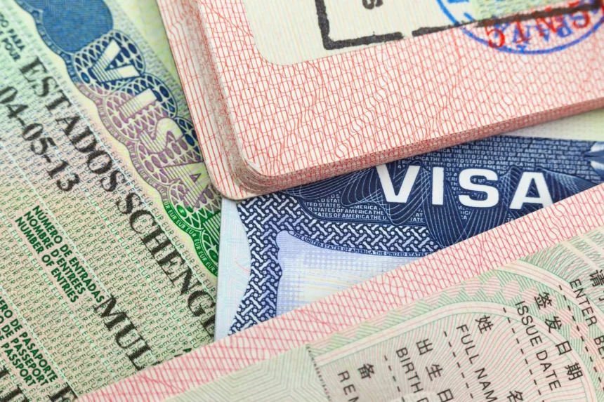 Live and Work in Germany for Just Rs 7,500: Unlock Europe with the Freelance Visa