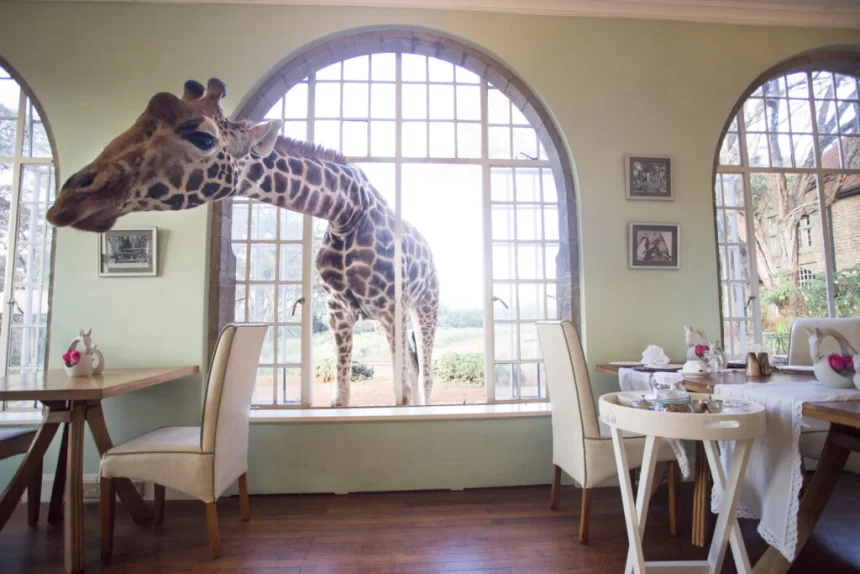 The World’s Most Unique Hotels