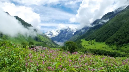 Top 10 Places to Visit in India in January 2026: Winter Itineraries & Tips