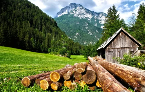 Winter Vacation Ideas for Couples, Solo Travelers, and Families
